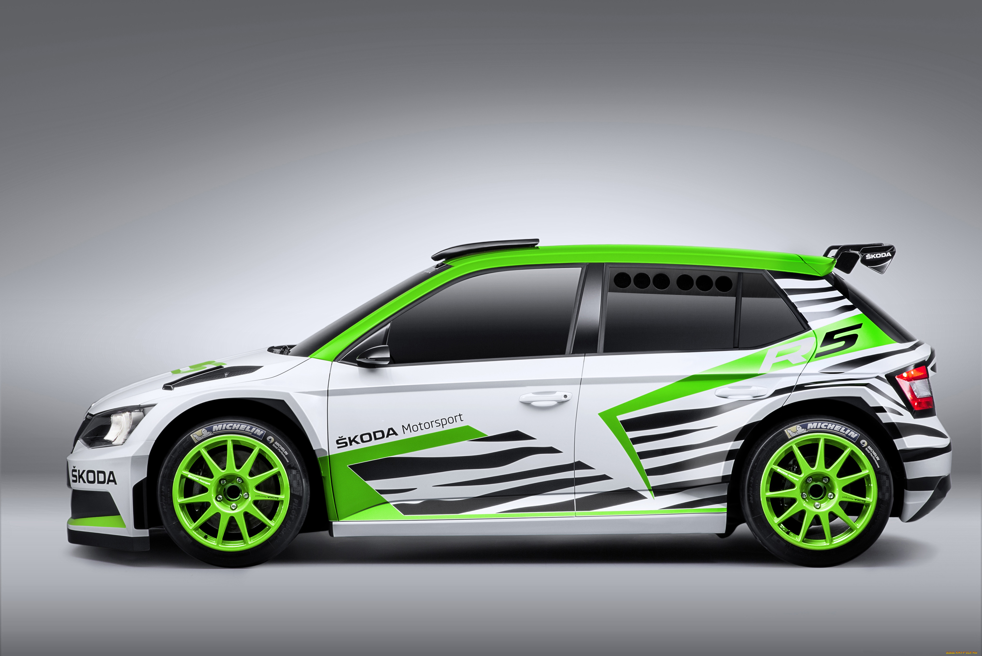 , skoda, , , 2014, concept, r5, fabia